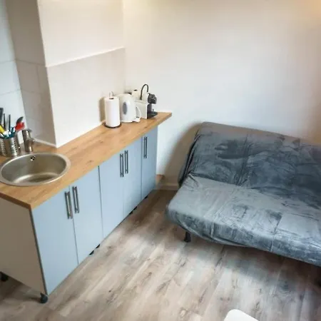 Duplex Place De La Bastille דירה